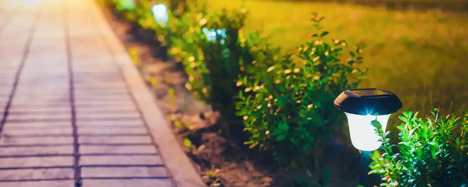 Home Decor and Garden